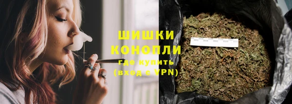 ПСИЛОЦИБИНОВЫЕ ГРИБЫ Алексеевка