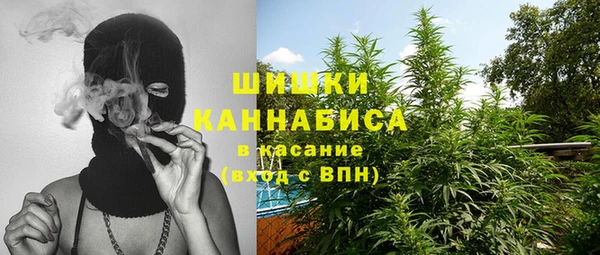ПСИЛОЦИБИНОВЫЕ ГРИБЫ Алексеевка