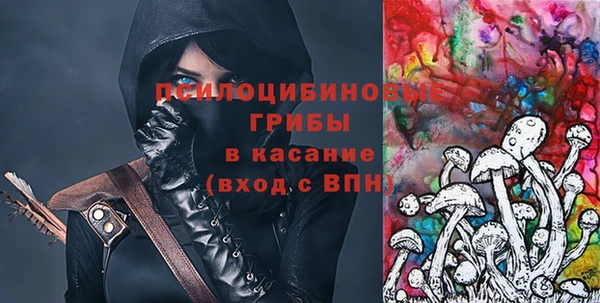 ПСИЛОЦИБИНОВЫЕ ГРИБЫ Алексеевка