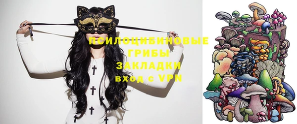 соль ск Алексин