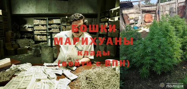ПСИЛОЦИБИНОВЫЕ ГРИБЫ Алексеевка