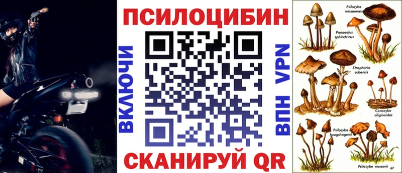 Галлюциногенные грибы прущие грибы  Кольчугино 